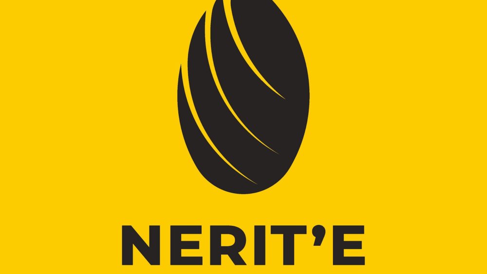 Introducing Nerit’e