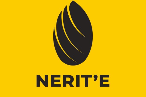 Introducing Nerit’e